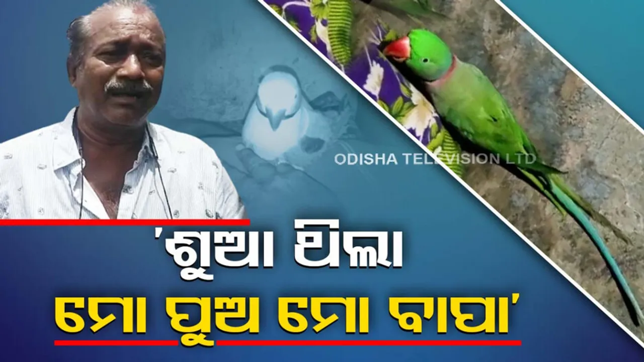 Odisha family buries pet parrot follows funeral rituals