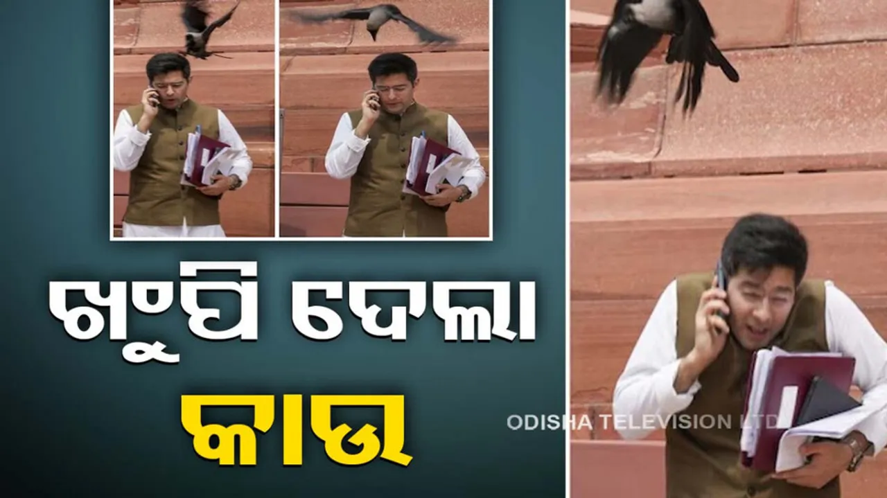 AAP MP Raghab Chhada