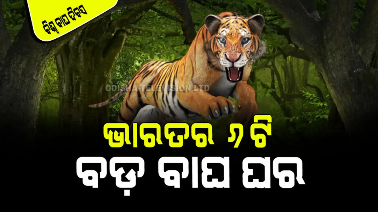  international tiger day 2023