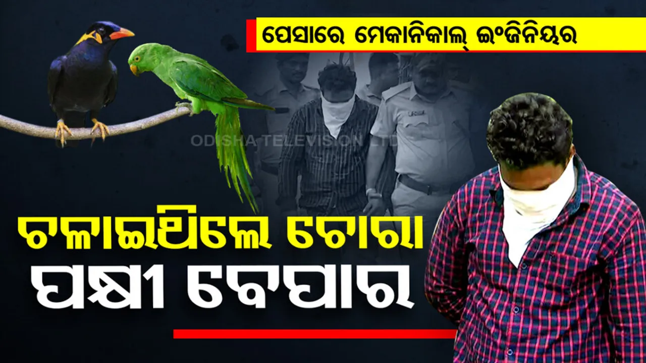 Forest officials arrest youth