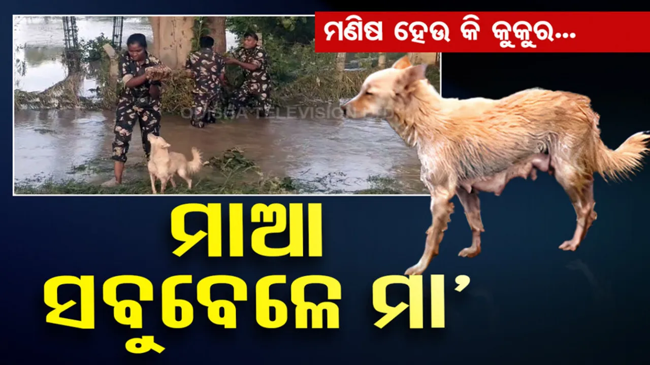 Andhra Pradesh Police