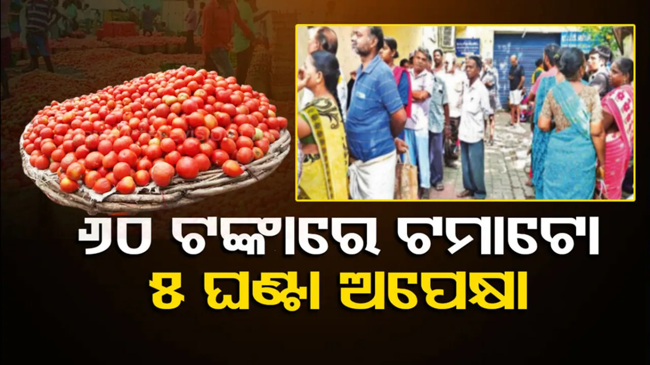 Tomato Price Hike