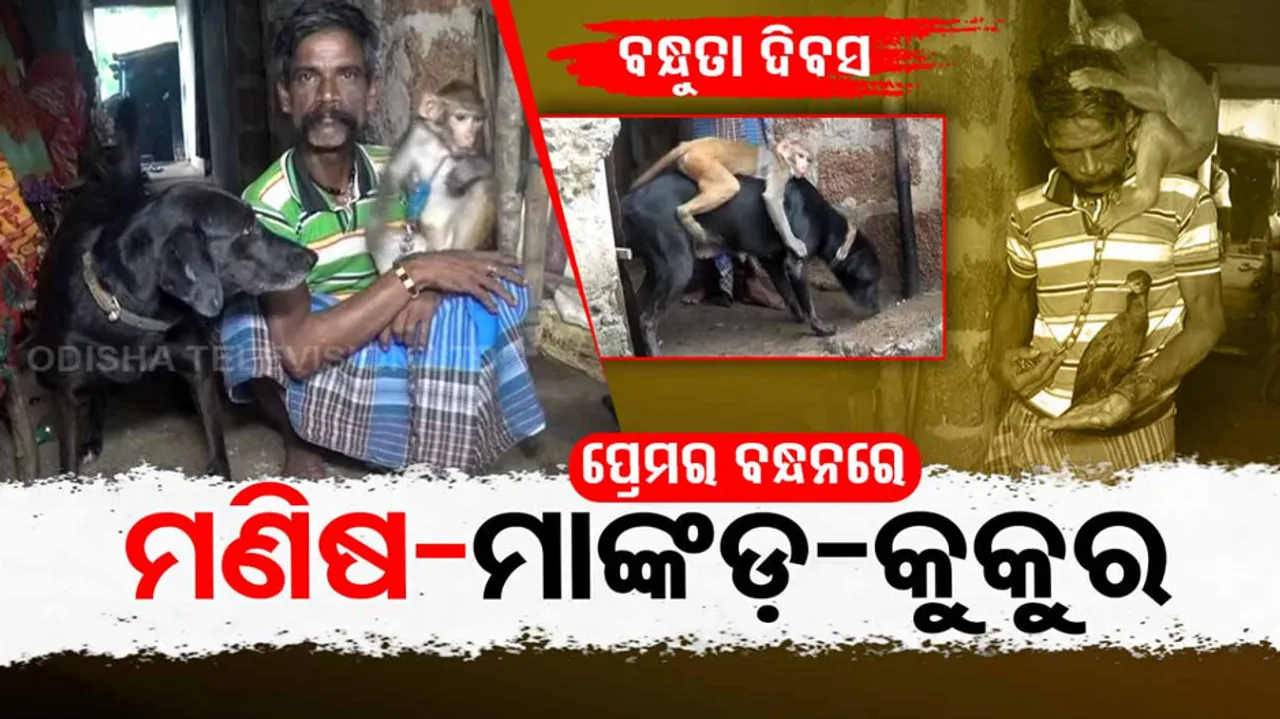 Friendship Day Special