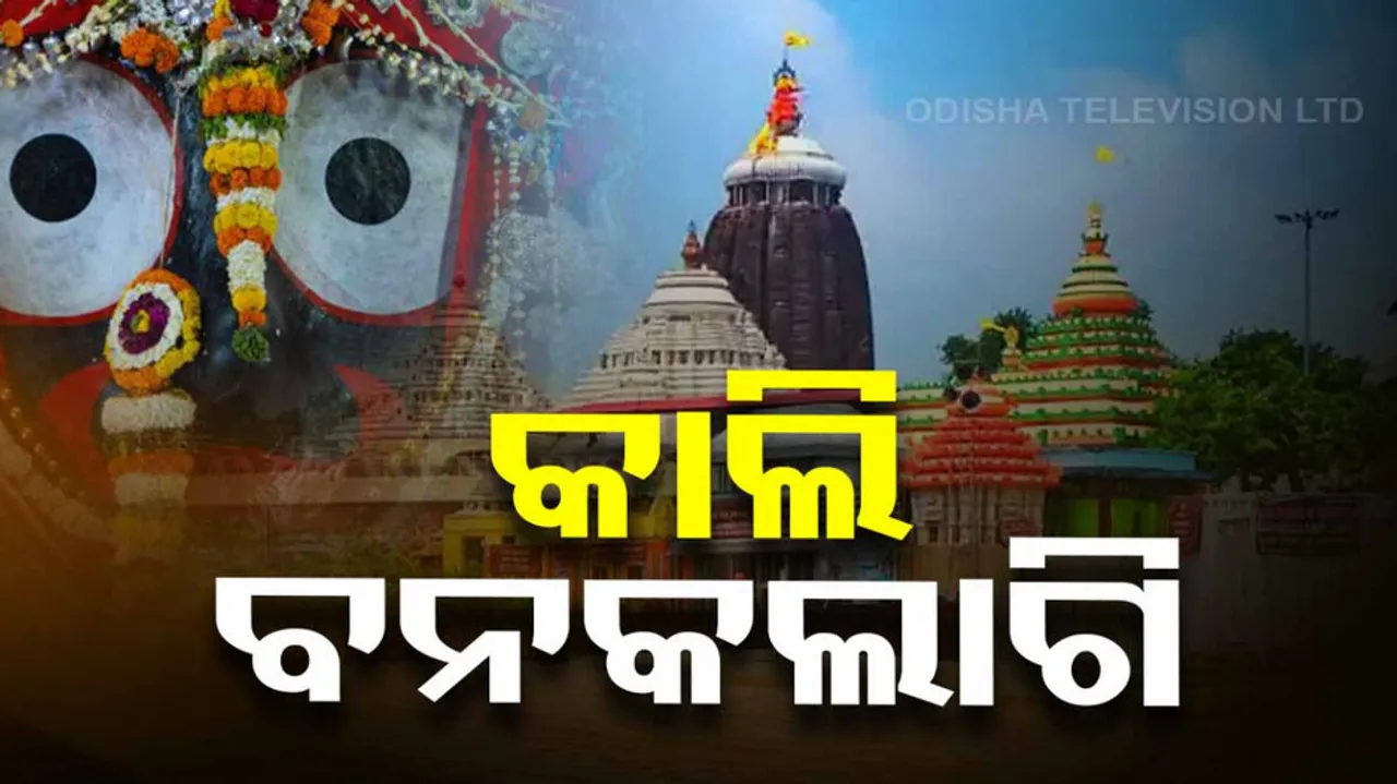 Lord Jagannath's special Ritual Banakalagi Niti