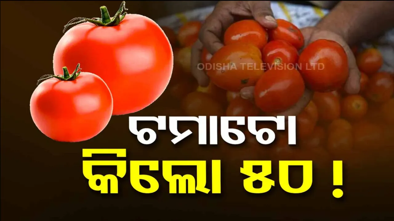 Tamato Price Hike