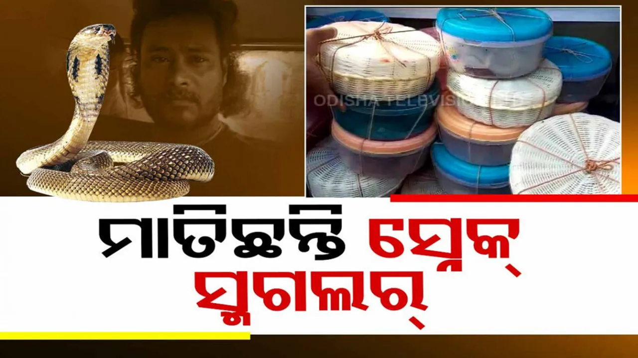  snake venom racket busted in Balasore