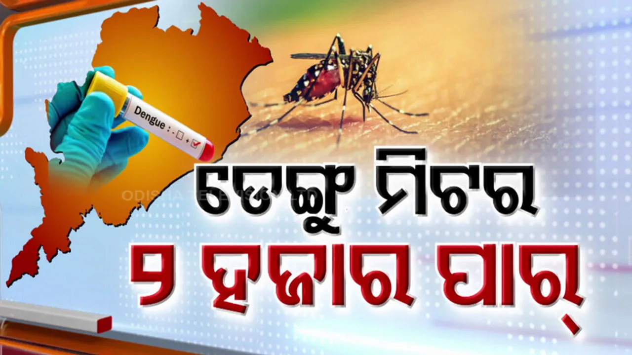 Dengue In Odisha