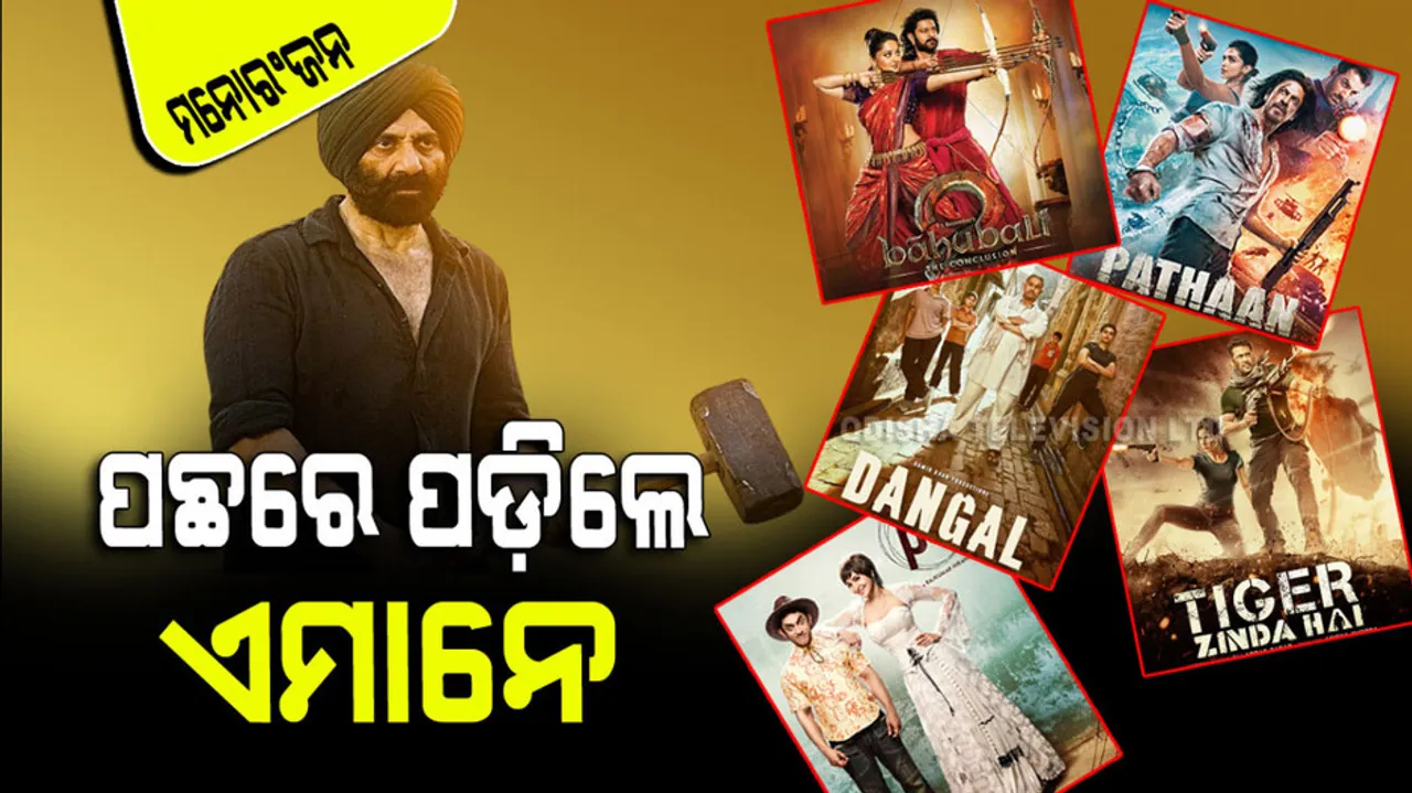 Gadar 2 Box Office Collection