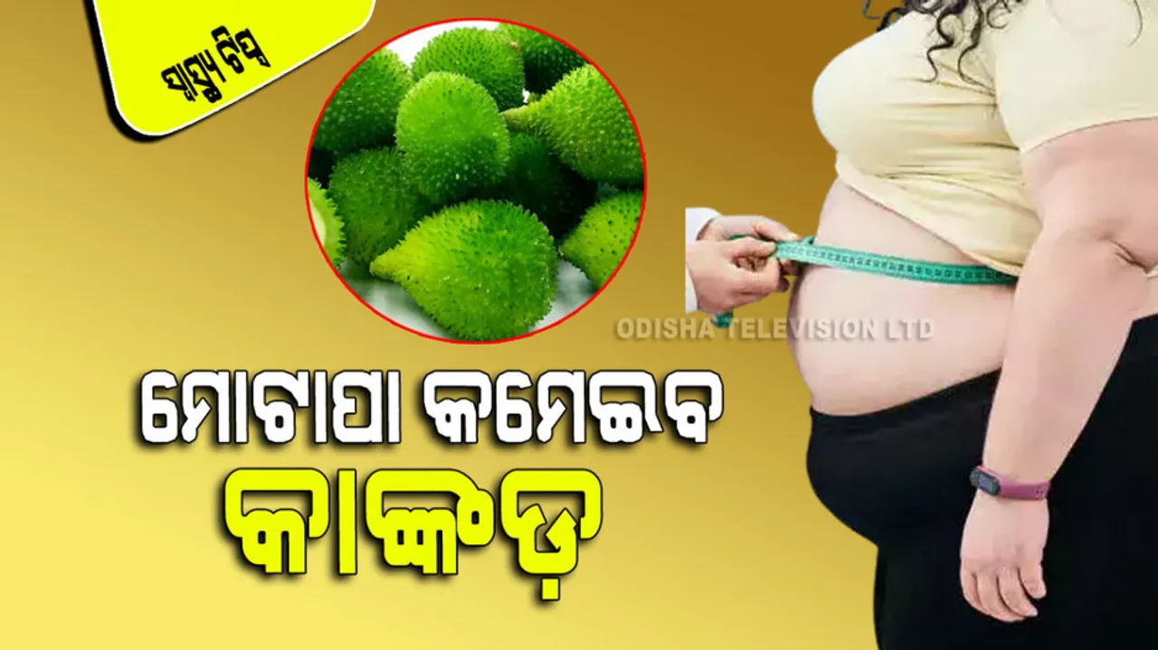 health benefits of spine gourd for cholesterol diabetes and high blood pressure 