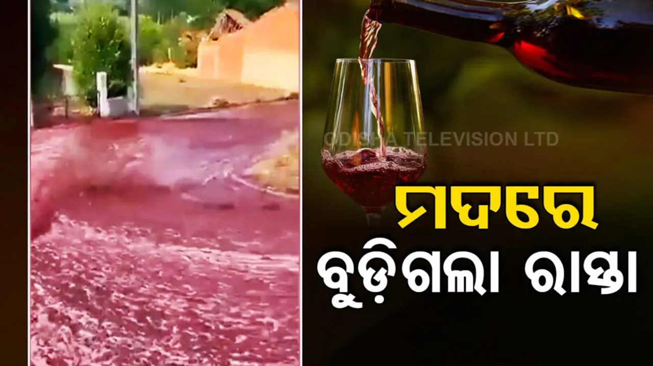 Red Wine Viral Video