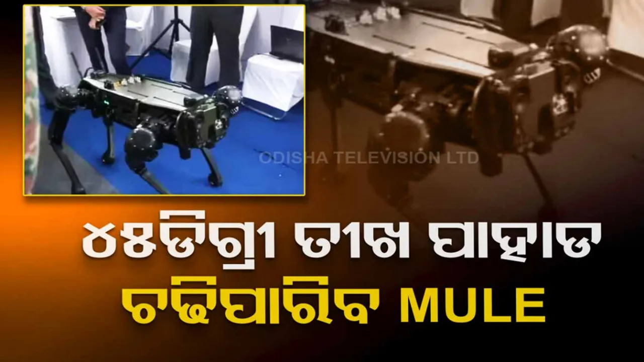 Multi-utility legged equipment 