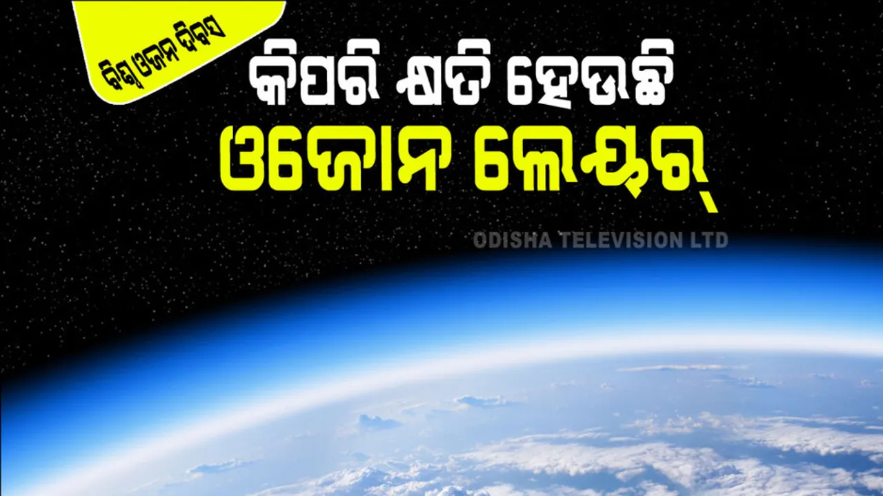 importance of ozone layer and how it protect to human 