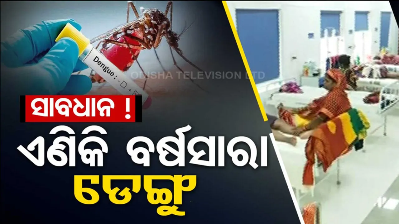 Dengue Death In Odisha