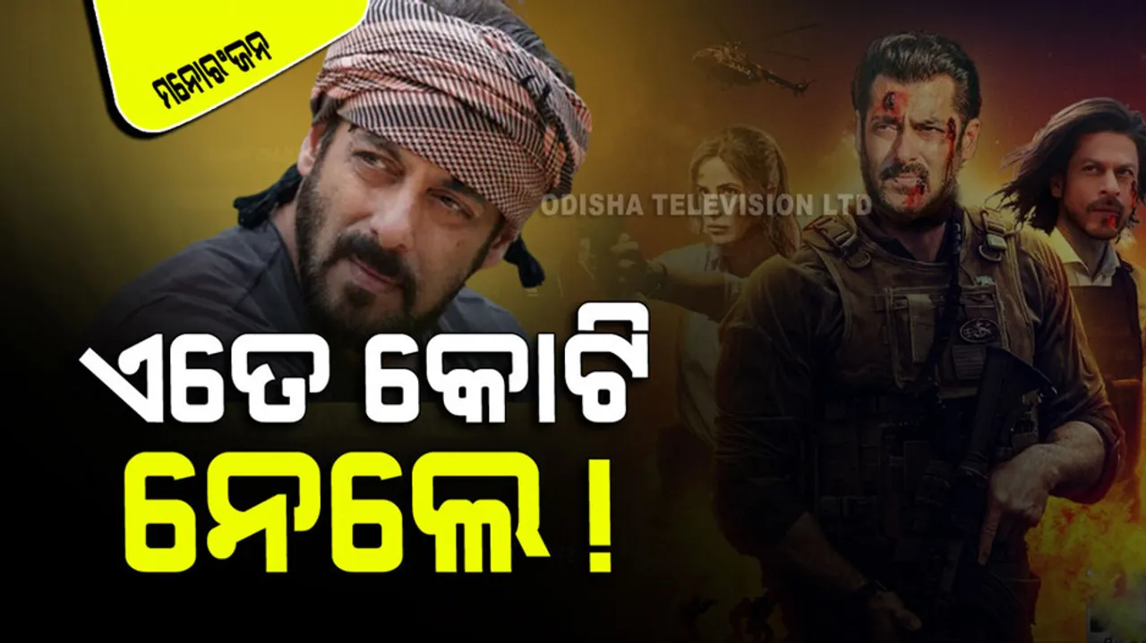 tiger 3 budget is more than pathaan salman khan took high fees