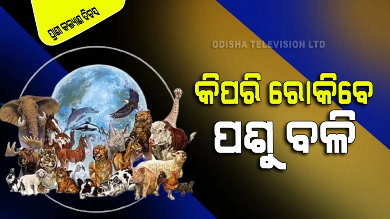 World Animal Welfare Day Action here can animal sacrifice