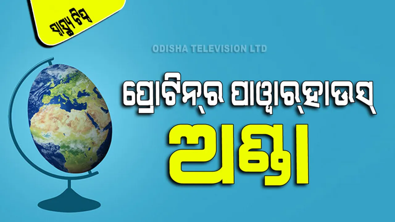 World Egg Day 2023 eggs for a better life