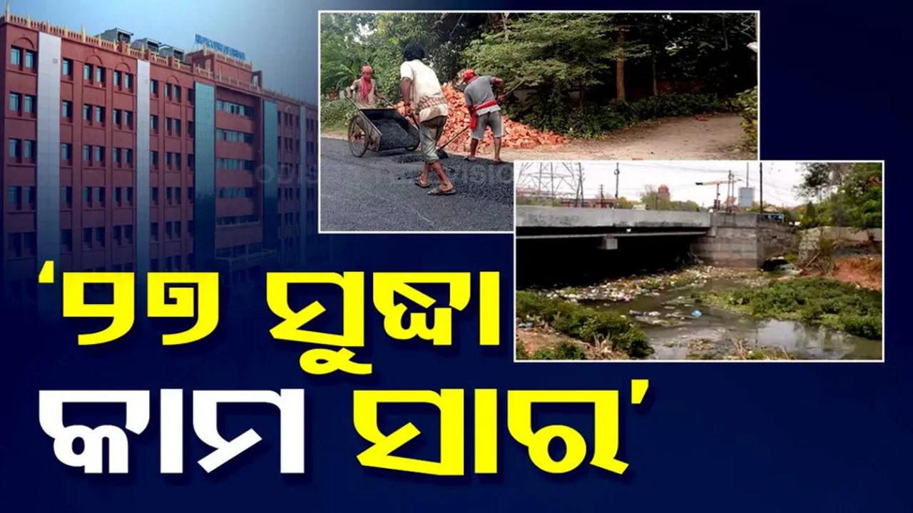 Orrisa High Court On Cuttack Road Repair Work