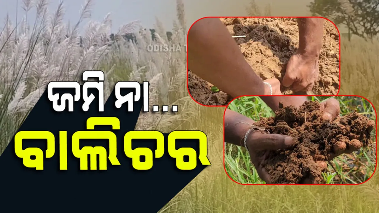 After 10 years of Phailin, hundreds of farmers are still in pain