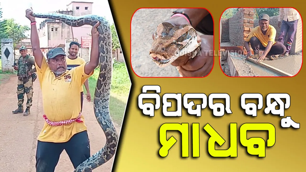 Madhava is a mason in profession and a snake catcher in hubby