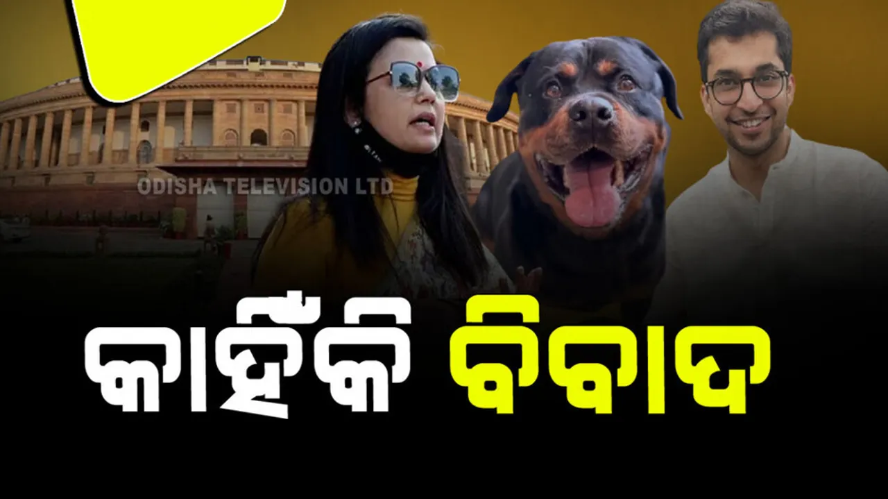 mahua moitra and jai anant dehadrai case for Rottweiler henry