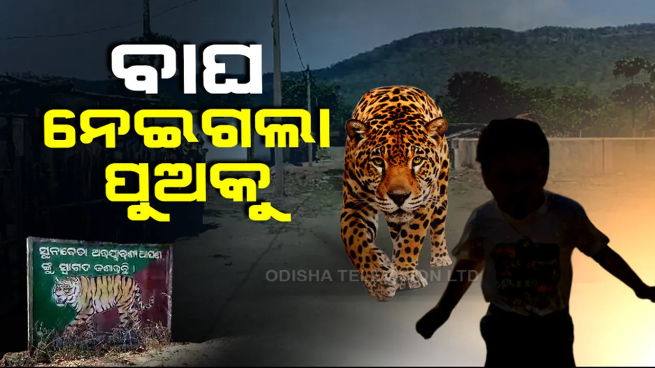 Tiger Fear in Odisha Nuapada Village