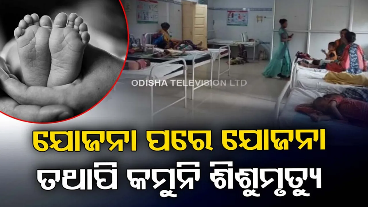 The infant mortality rat