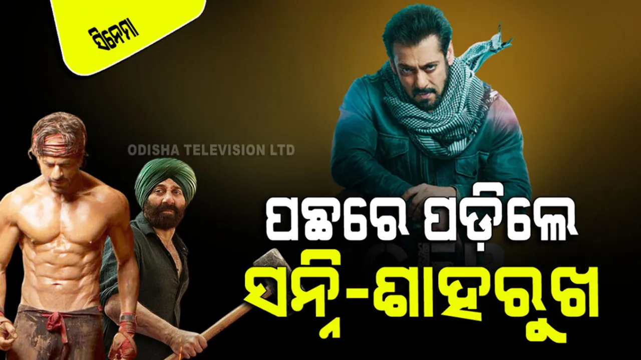 Tiger 3 Box Office Collection Day 2