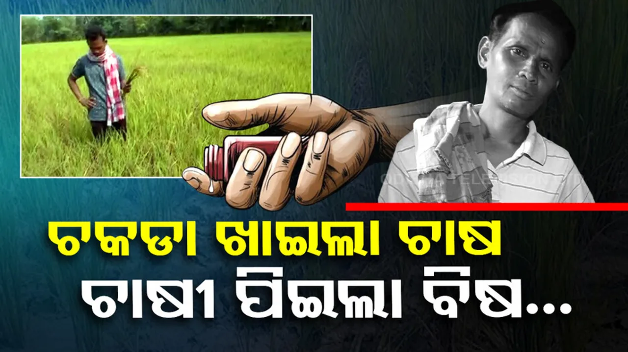 Farmer ends life after locust destroys crops