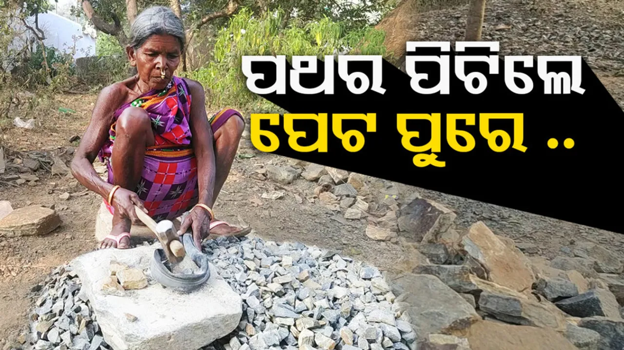 ଜୀବନ ଜୀବିକାର ଆଧାର ପାଲଟିଛି ପଥର