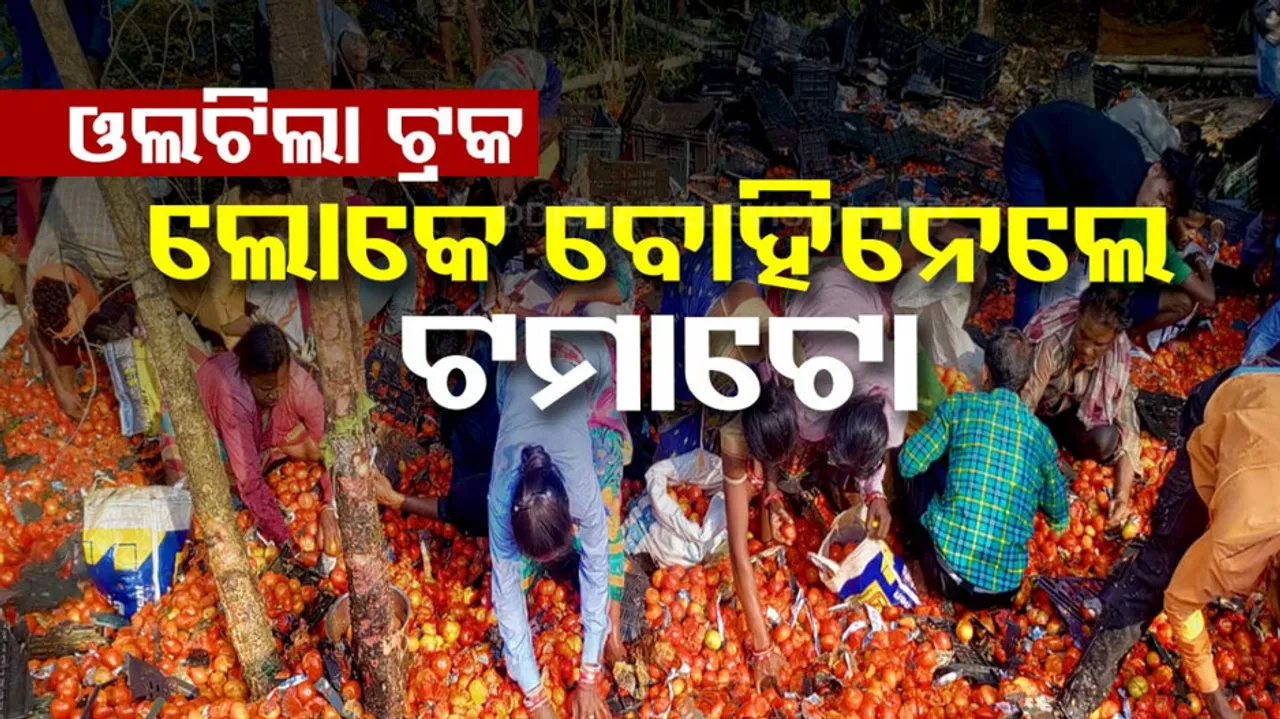 Tomato Truck Accident