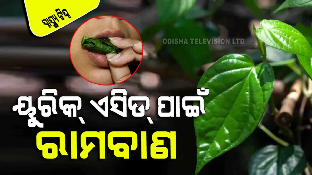 5 amazing benefit of betel leaf