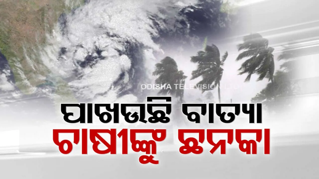 Cyclone Michaung