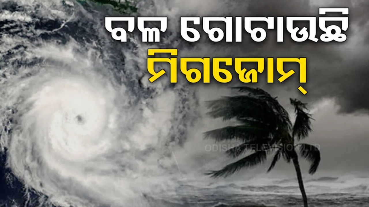 Cyclone Michaung