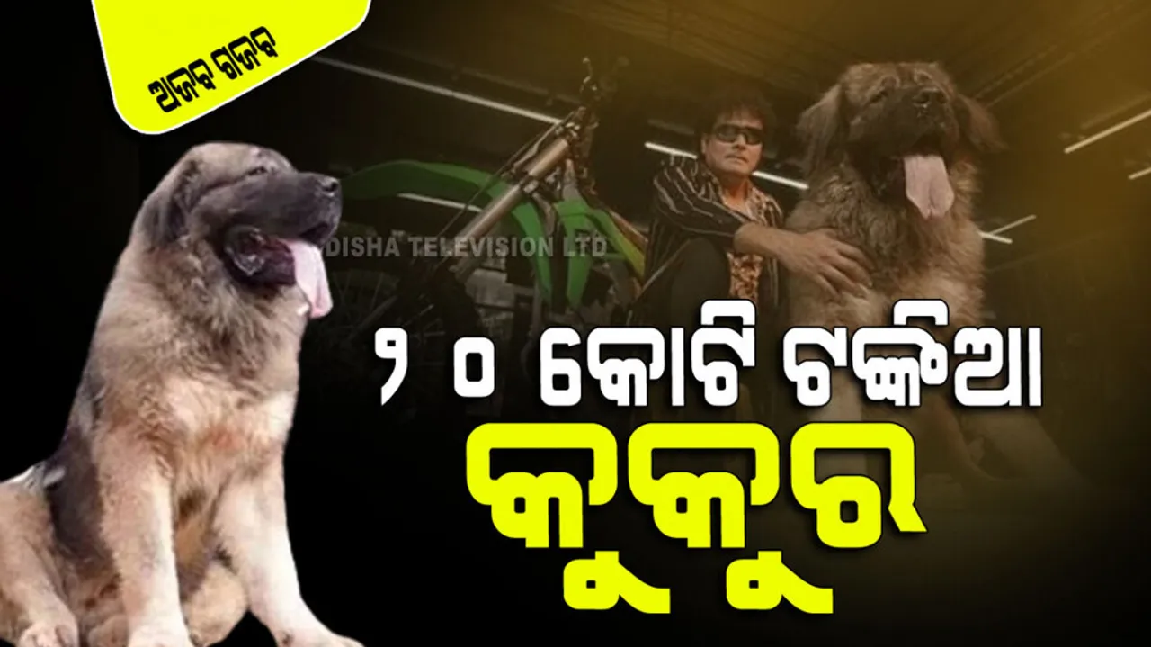 Man bought rarest dog with 20 crore