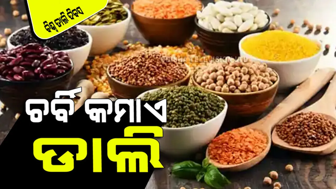 World Pulses Day 2024 health benefits of eating pulses daily