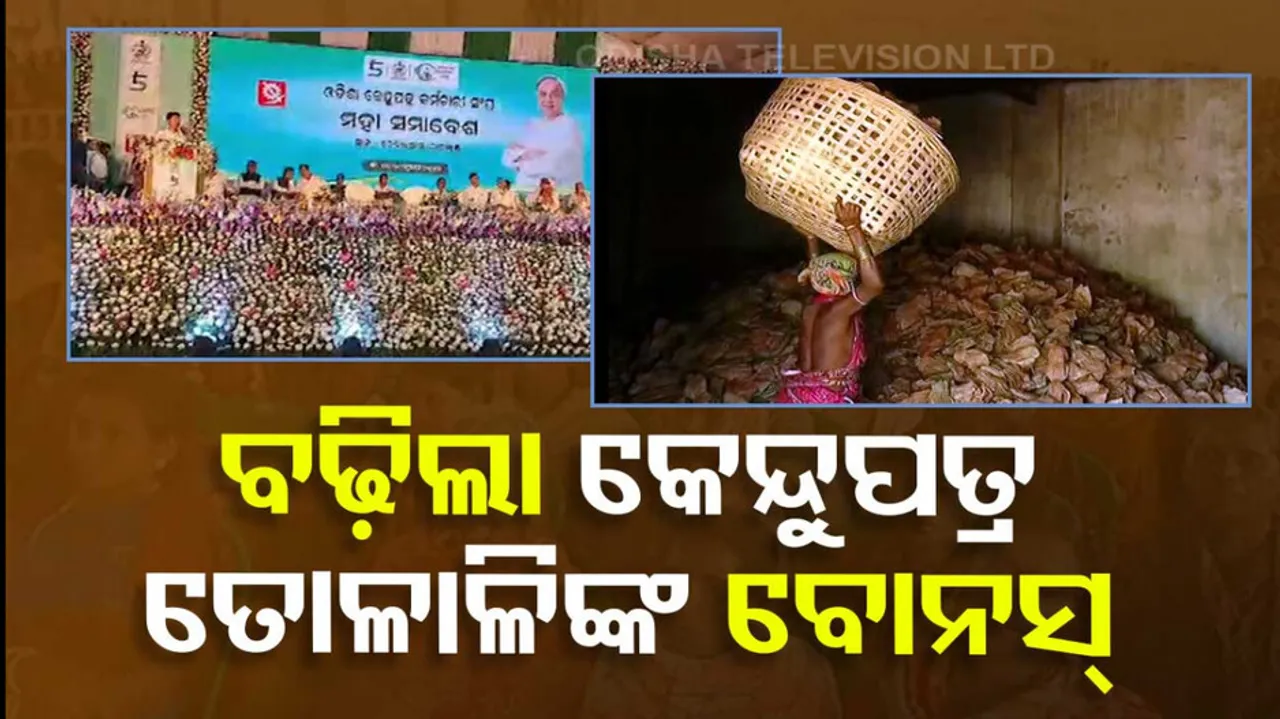 Increases Bonus For Kendu Leaf Pluckers