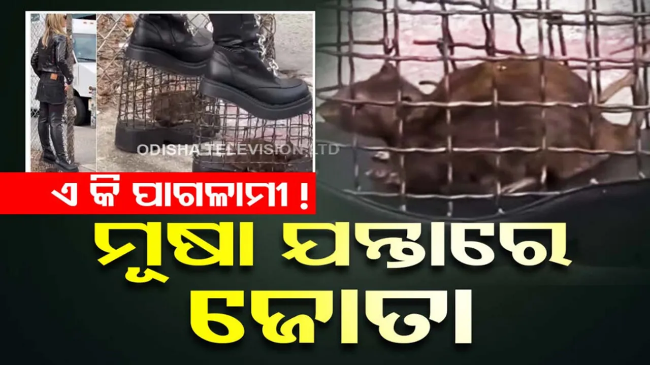 Woman's Rat-Cage Heels 