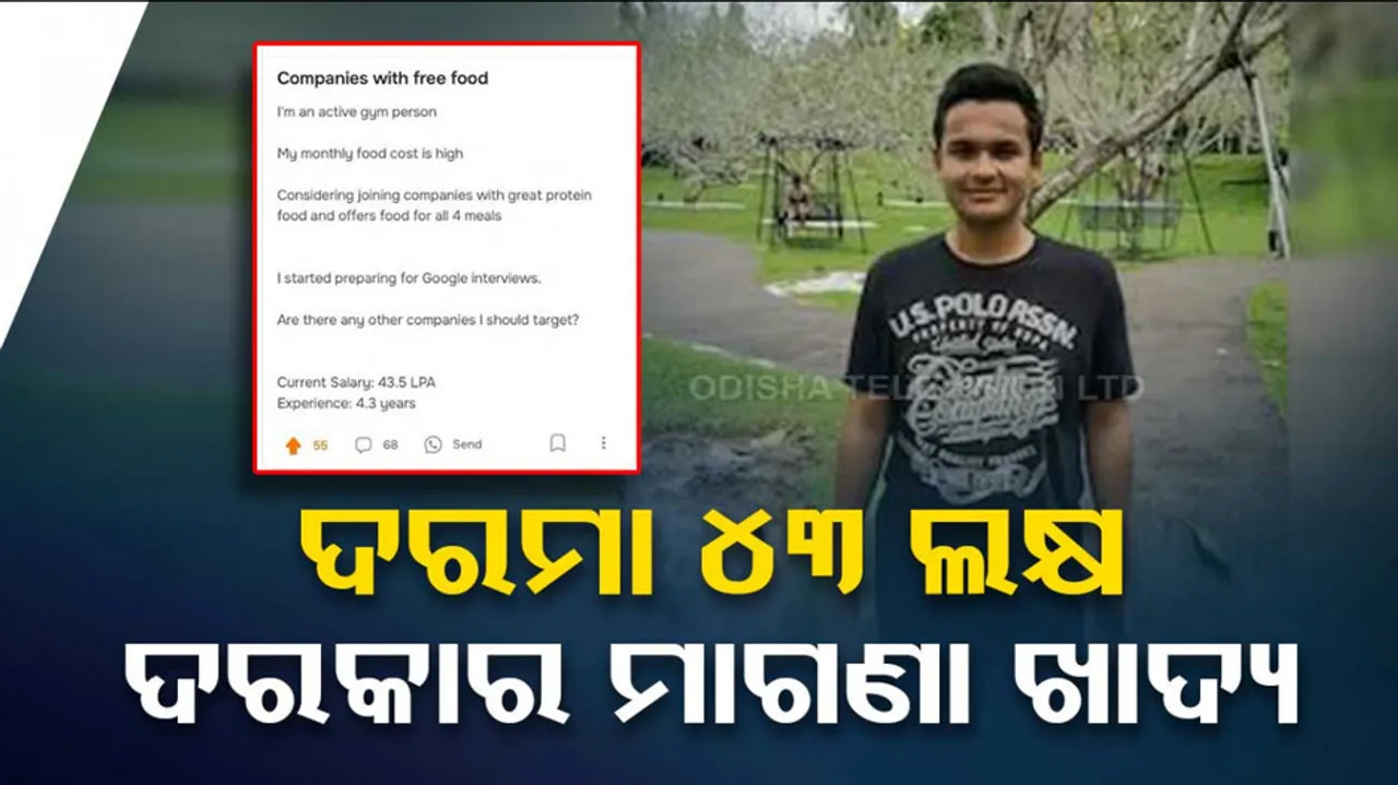 Companies With Free Food