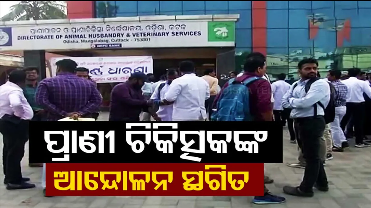 veterinary doctors call off strike 