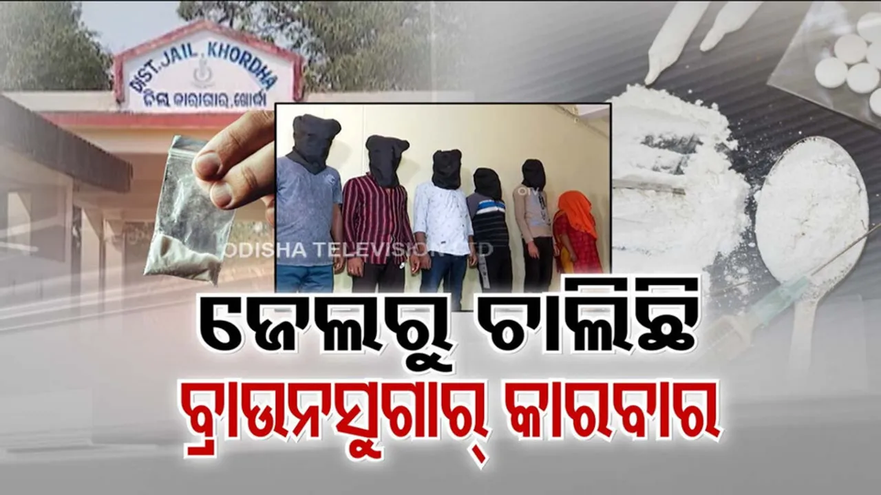  brown sugar business