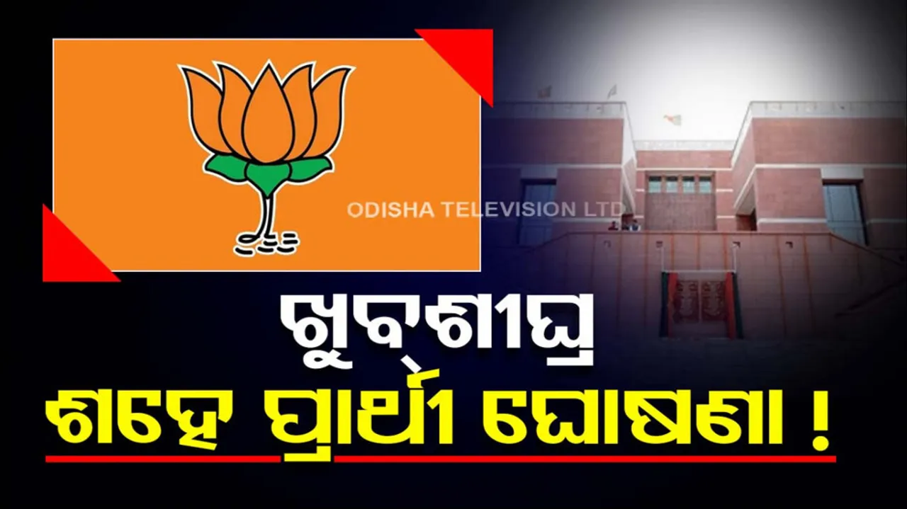 BJP Leaders Discuss LS Poll Candidates