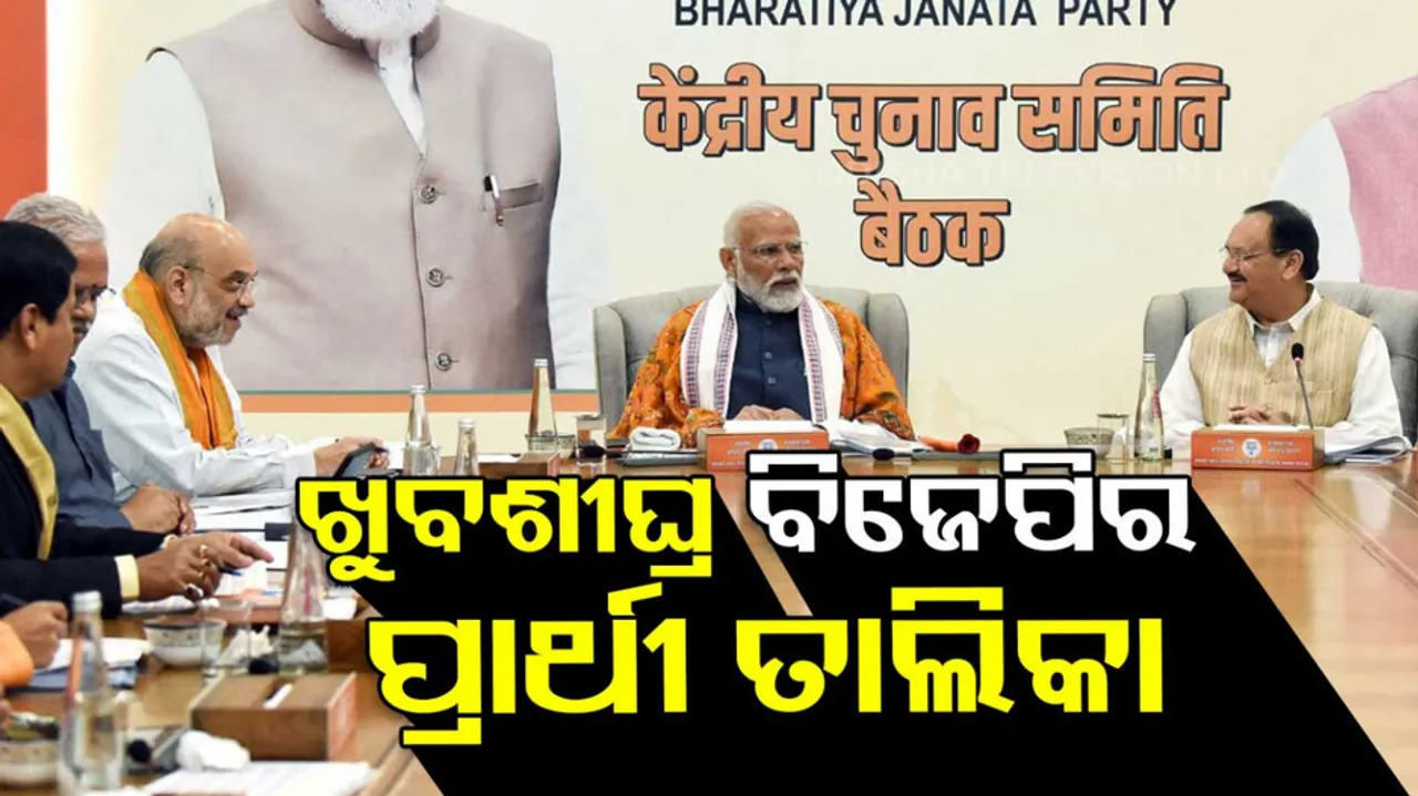 PM Modi Chairs Key BJP Meeting