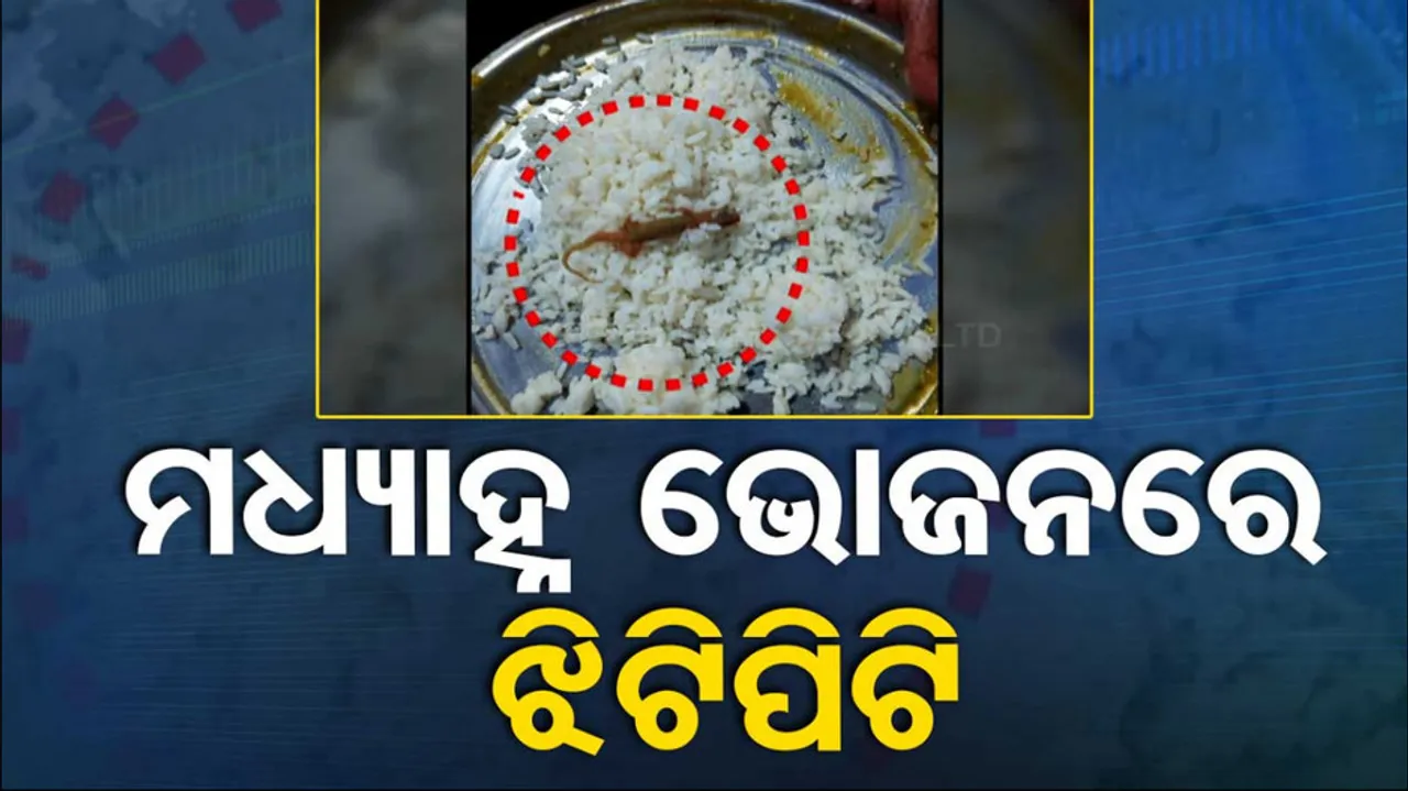 Lizard Found in Mid Day Meal In Odisha