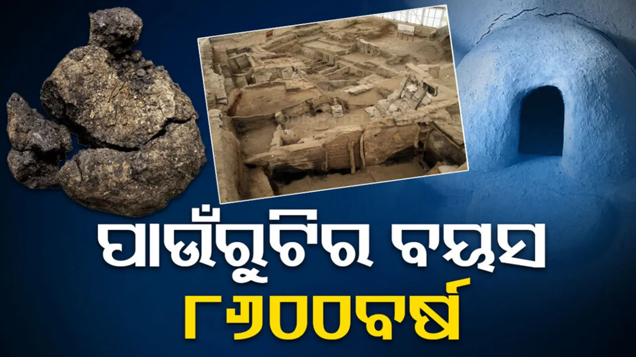 World's Oldest Bread