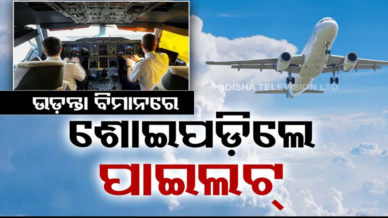 Air pilots fall asleep mid-air 