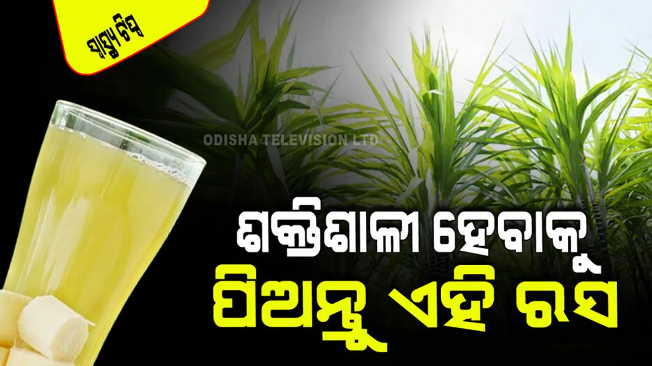 Juice of this 10 feet long grass is very miraculous give strength