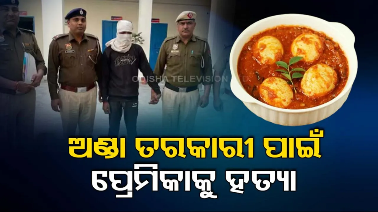 Murder for Egg Curry 