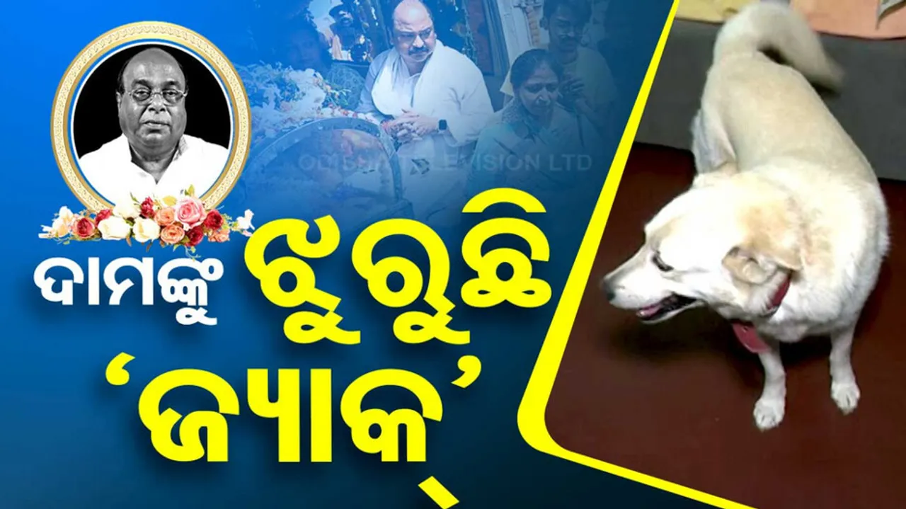 Damodar Rout Passes Away