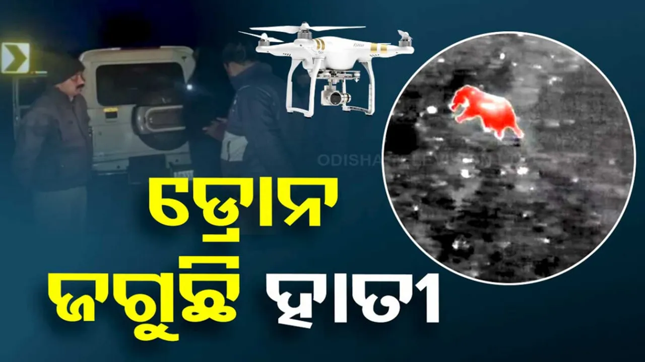 drone camera monitoring the movements of elephants