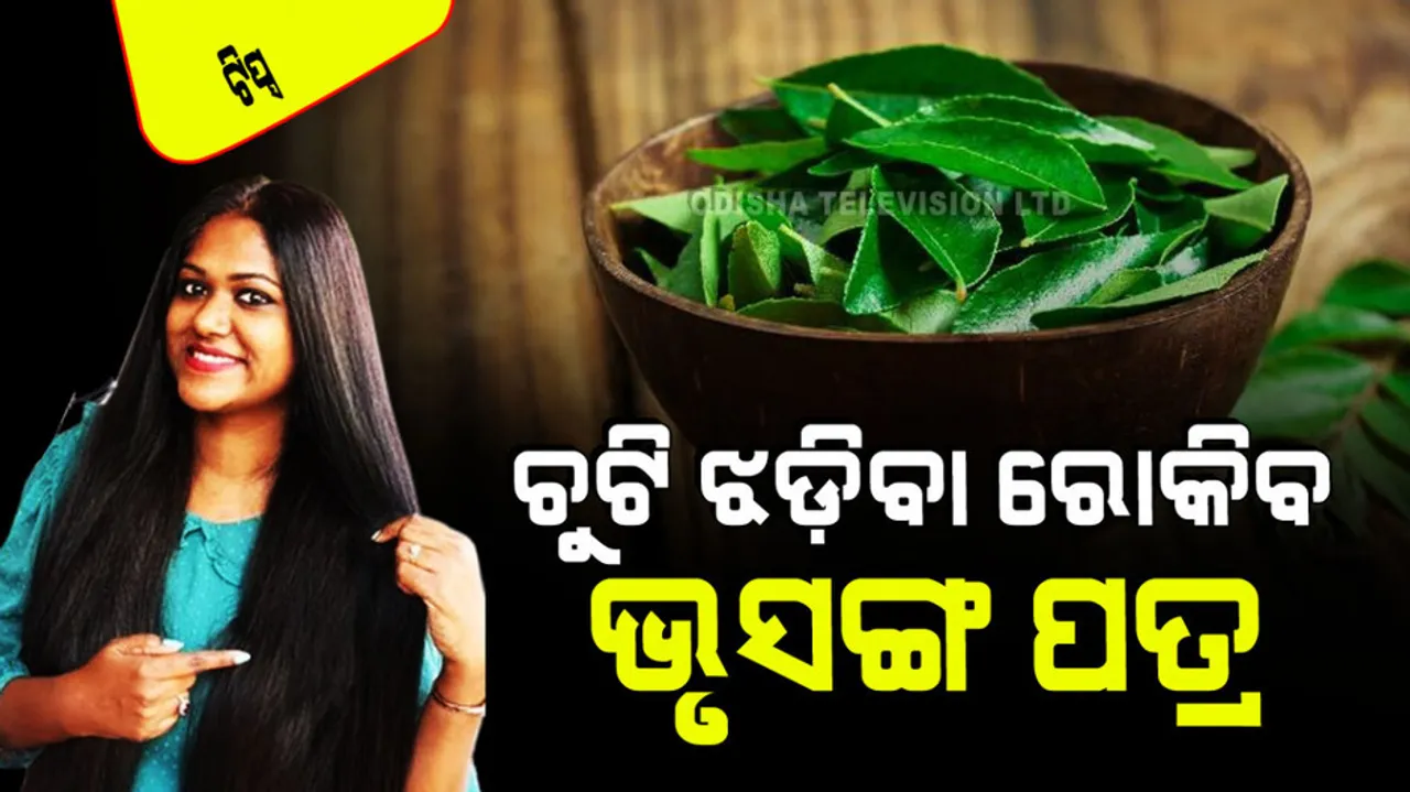 How to use curry leaves for hair growth 